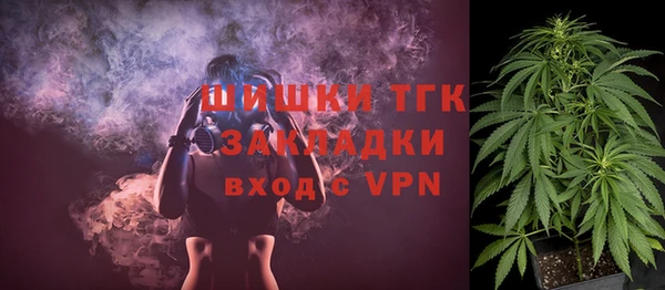 гидра Няндома